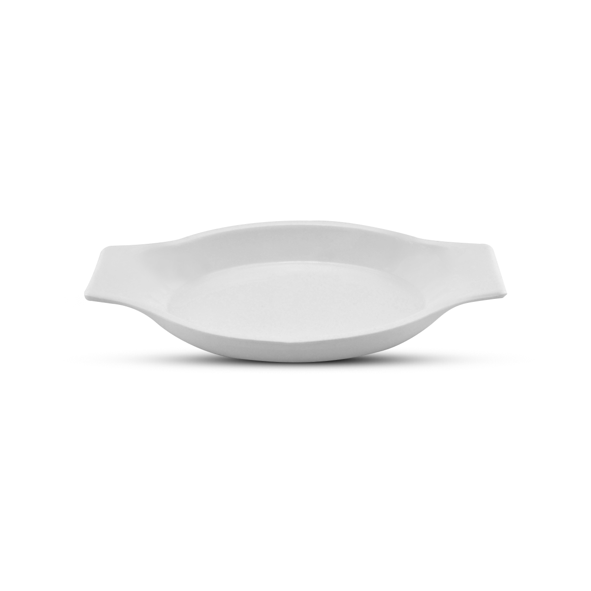 Blaze Casa Melamine Fast Food Dish 10"