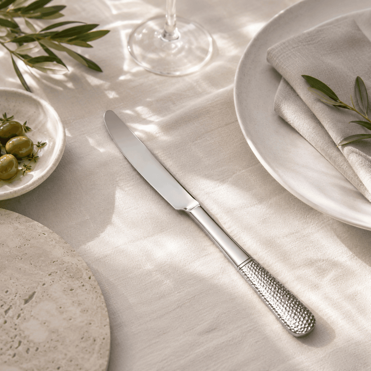Blaze R.P.2 Stainless Steel 6-Piece Silver Table Knife Set Kaka Bawa Sons