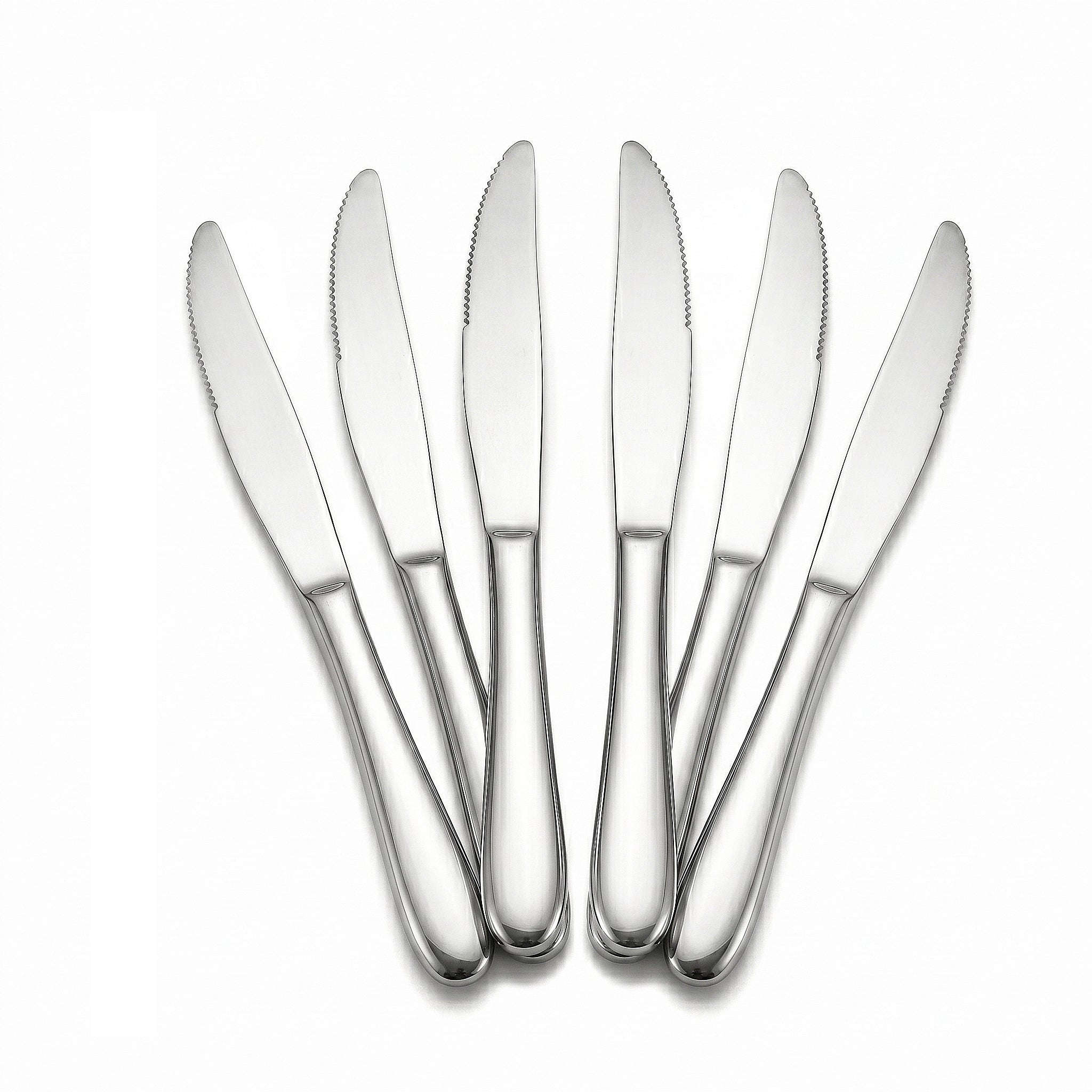 Value 6-Piece Stainless Steel Silver Steak Knife Set Kaka Bawa Sons