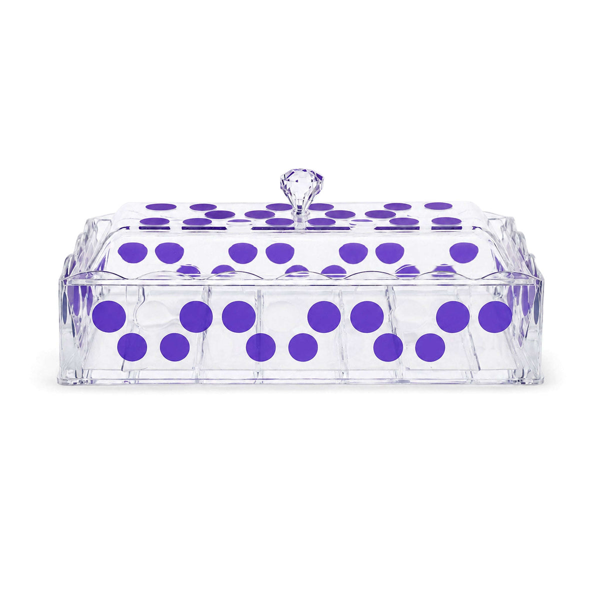 Acryl 2-Portion Acrylic Rectangular Cutlery Storage Box Kaka Bawa Sons