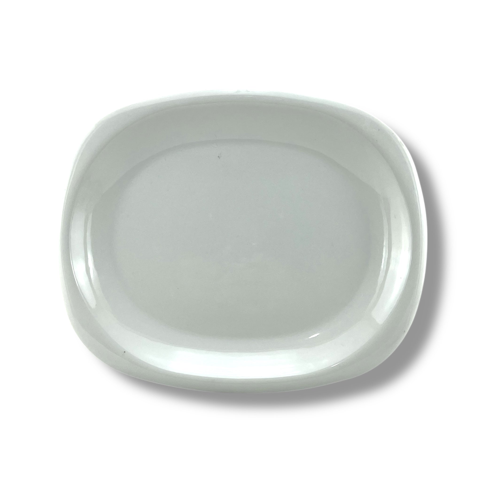 Blaze Elite Melamine Dish