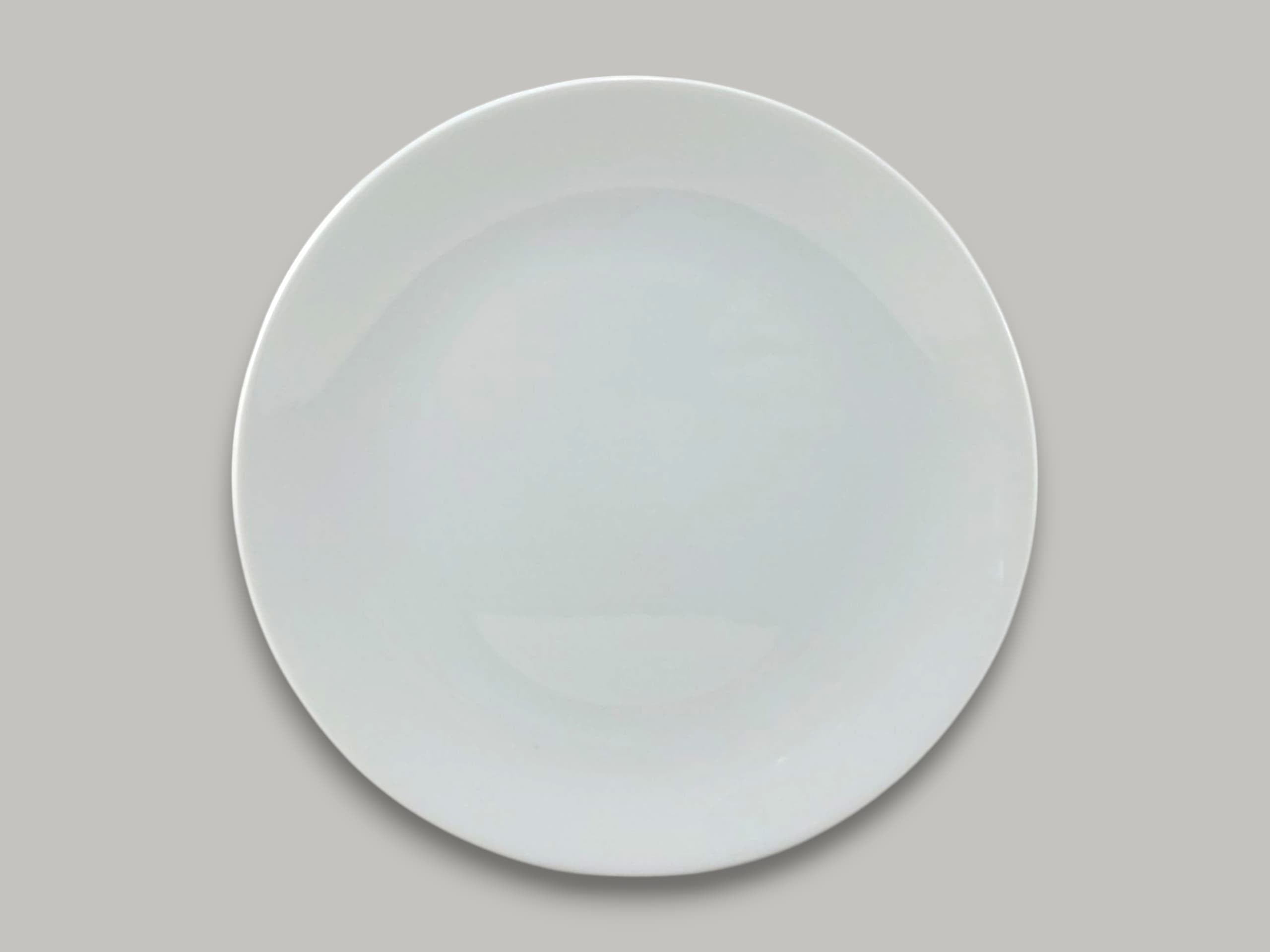 Blaze Irani Melamine Flat Plate 10"