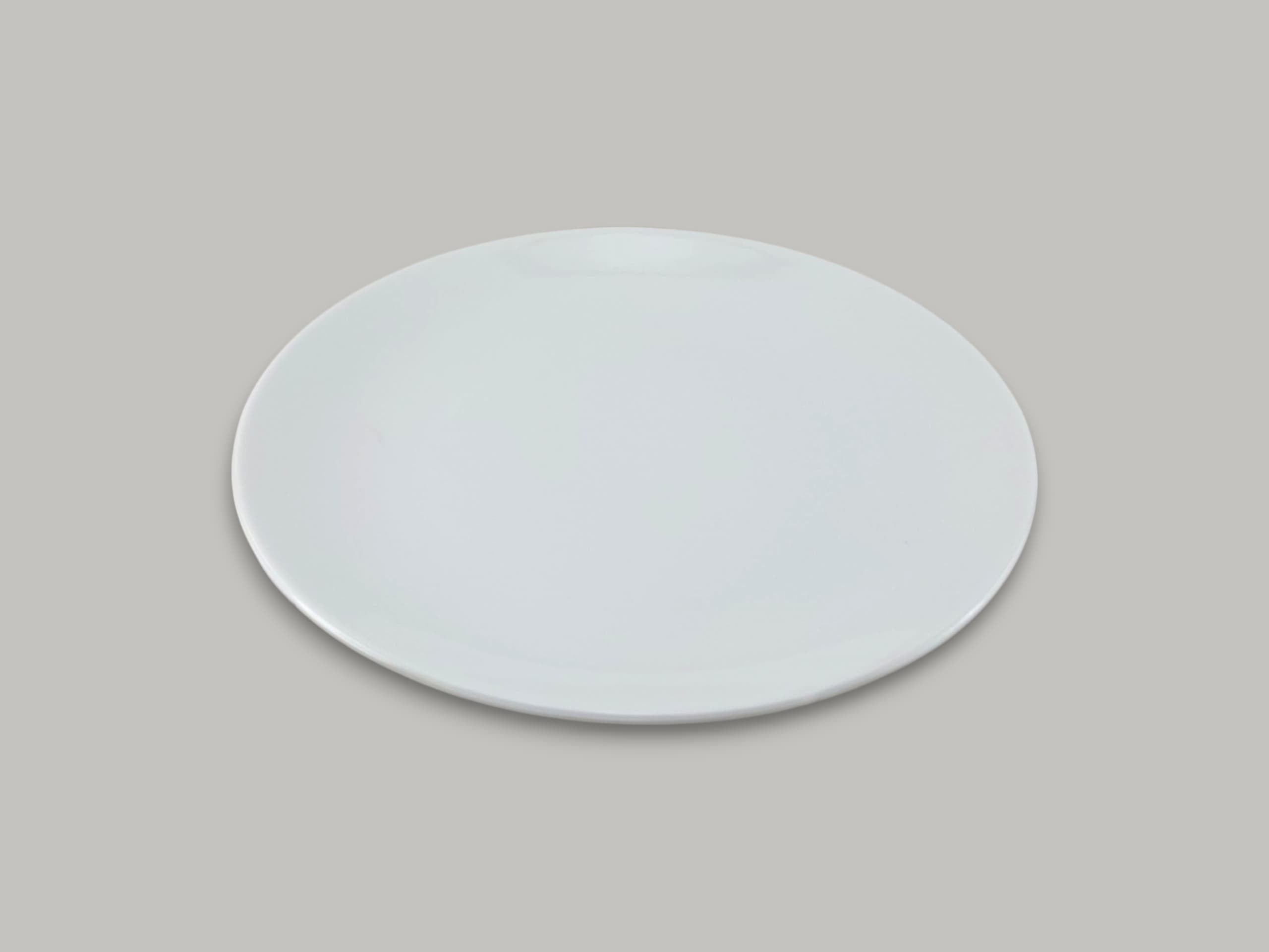 Blaze Irani Melamine Flat Plate 10"