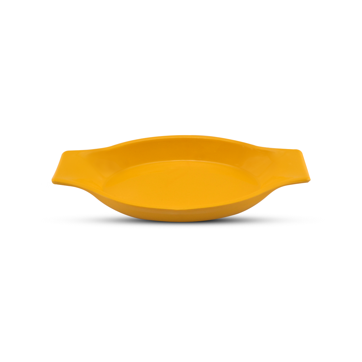 Blaze Casa Melamine Fast Food Dish 10"