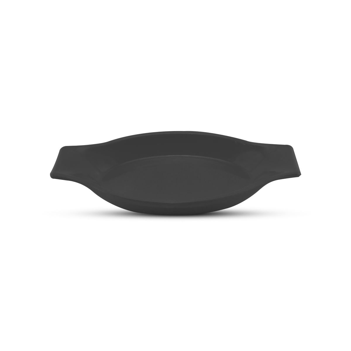 Blaze Casa Melamine Fast Food Dish 10"