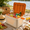 Gint 11-Liter White And Orange Plastic Ice Box