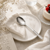 Blaze R.P.2 Stainless Steel 6-Piece Silver Dessert Spoon Set
