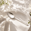 Blaze R.P.2 Stainless Steel 6-Piece Silver Table Spoon Set