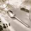 Blaze R.P.2 Stainless Steel 6-Piece Silver Dessert Soup Spoon Set