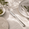 Blaze R.P.2 Stainless Steel 6-Piece Silver Table Knife Set