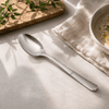 Blaze R.P.2 Stainless Steel 2-Piece Silver Serving Rice Spoon Set