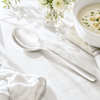 Blaze R.P.2 Stainless Steel 2-Piece Silver Serving Soup Spoon Set