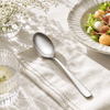 Blaze Pearl 6-Piece Stainless Steel Silver Table Spoon Set
