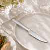 Blaze Pearl 6-Piece Stainless Steel Silver Table Knife Set