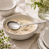 Blaze Pearl 2-Piece Stainless Steel Silver Serving Soup Spoon Set