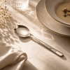Blaze Tree 6-Piece Stainless Steel Silver Dessert Soup Spoon Set