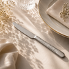 Blaze Tree 6-pIece Stainless Steel Silver Table Knife Set