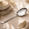 Blaze Tree 2-Piece Stainless Steel Silver Serving Rice Panja Spoon Set