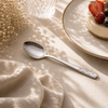 Blaze R.P.1 Stainless Steel 6-Piece Silver Dessert Spoon Set