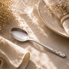 Blaze R.P.1 Stainless Steel 6-Piece Silver Table Spoon Set