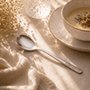Blaze R.P.1 Stainless Steel 6-Piece Silver Dessert Soup Spoon Set