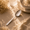 Blaze R.P.1 Stainless Steel 2-Piece Serving Rice Panja Spoon Set