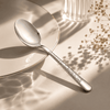 Blaze Tree 6-Piece Stainless Steel Silver Tea Spoon Set