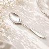 Fish Sandy 6-PIece Stainless Steel Silver Tea Spoon Set
