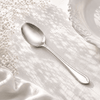 Fish Sandy 6-Piece Stainless Steel Silver Table Spoon Set