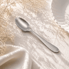 N.H 6-Piece Stainless Steel Silver Tea Spoon Set