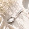 N.H 6-Piece Stainless Steel Silver Table Spoon Set
