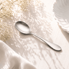 N.H 6-Piece Stainless Steel Silver Baby Soup Spoon Set