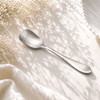 N.H 6-Piece Stainless Steel Silver Sugar Spoon Set