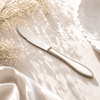 N.H 6-Piece Stainless Steel Silver Table Knife Set