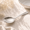 N.H Stainless Steel Silver Serving Soup Spoon