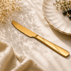 Blaze R.P.3 Stainless Steel 6-Piece Golden Table Knife Set