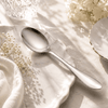 Mirror Polish 6-Piece Stainless Steel Silver Table Spoon Set
