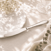 Mirror Polish 6-Piece Stainless Steel Silver Table Knife Set