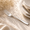 Polish 6-Piece Stainless Steel Silver Table Fork Set