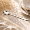 Polish 6-Piece Stainless Steel Silver Long Tea Spoon Set