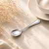 Moon 6-Piece Stainless Steel Silver Sugar Spoon Set