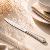 Moon 6-Piece Stainless Steel Silver Table Knife Set