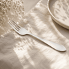 H.D 6-Piece Stainless Steel Silver Table Fork Set