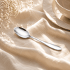 H.P 6-Piece Stainless Steel Silver Tea Spoon Set