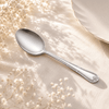 Venus 6-Piece Stainless Steel Silver Table Spoon Set