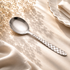 Lazer One Stainless Steel Silver Serving Soup Spoon