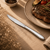 Value 6-Piece Stainless Steel Silver Steak Knife Set