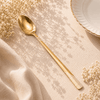 Blaze TPO Gold 6-Piece Stainless Steel Golden Long Tea Spoon Set