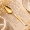 Blaze TPO Gold 2-Piece Stainless Steel Golden Serving Rice Spoon Set