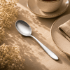 Value 6-Piece Stainless Steel Silver Table Spoon Set